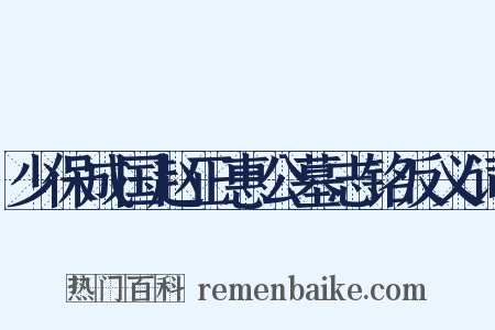 少保成国赵正惠公墓志铭反义词是什么意思的图片